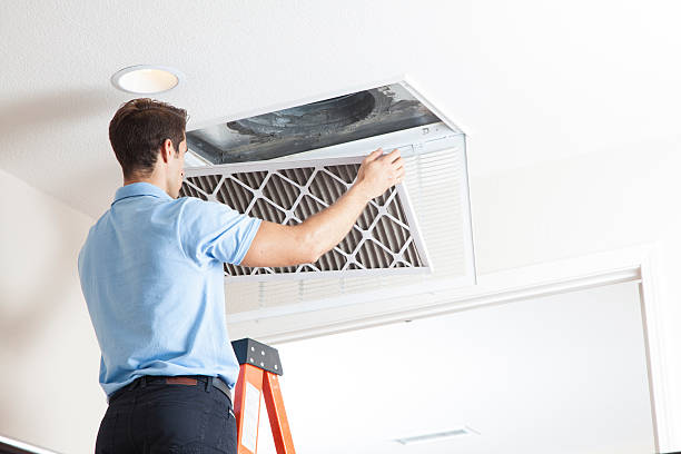 Best HVAC tune-up services  in Royalton, IL